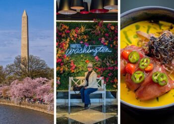 Resort Washington Evaluate: DC Cherry Blossom Season Information