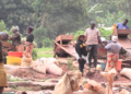 Artisanal Miners in Western Kenya Transfer Away From Mercury — World Points