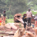 Artisanal Miners in Western Kenya Transfer Away From Mercury — World Points