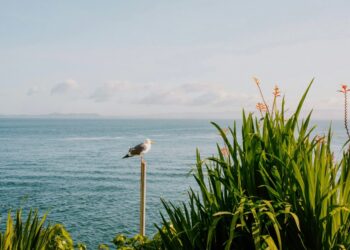 Have a Beautiful Weekend. | Cup of Jo