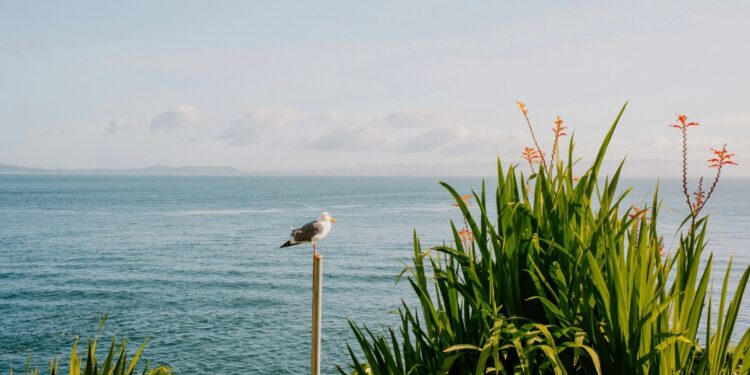 Have a Beautiful Weekend. | Cup of Jo