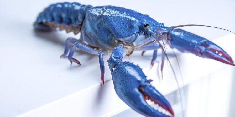 OpenClaw provides customers but another excuse to be freaked out about safety