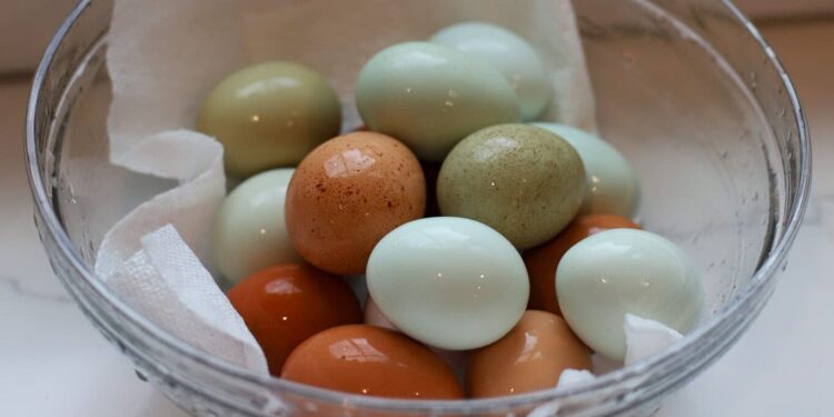 How To Retailer Farm Recent Eggs