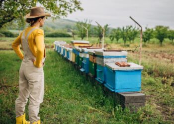 Can AI Discover Your Subsequent Obsession? I Examined Its Passion Recommendations