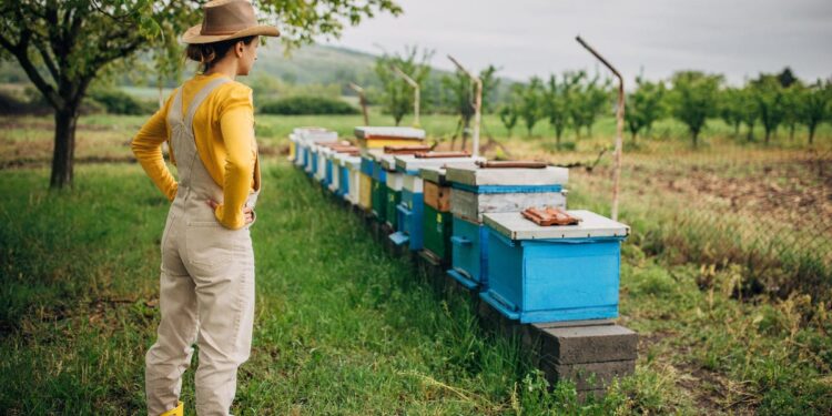 Can AI Discover Your Subsequent Obsession? I Examined Its Passion Recommendations