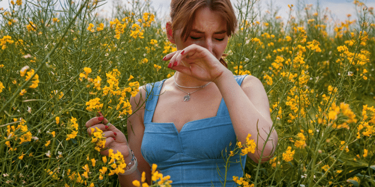 Highly effective Pure Cures for Seasonal Allergy symptoms