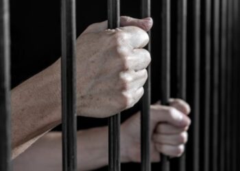 Louisiana Man Convicted of Youngster Rape Opts for Surgical Castration