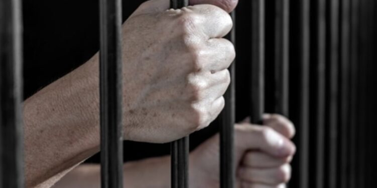 Louisiana Man Convicted of Youngster Rape Opts for Surgical Castration