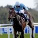 Irish Grand Nationwide: Soldier In Milan dispatches rivals in Fairyhouse showpiece | Racing Information