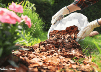 Spring Backyard Guidelines For An Simpler Backyard Season