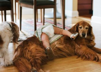 All the pieces You Do Is Good.