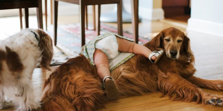 All the pieces You Do Is Good.