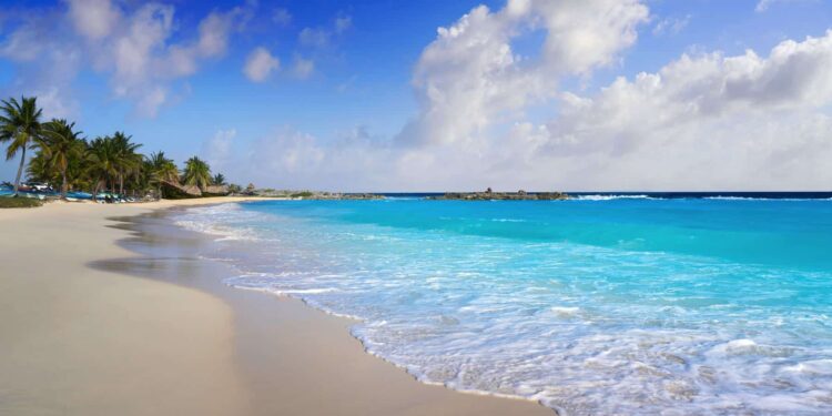 15 BEST Issues To Do in Cozumel, Mexico