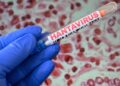 Hantavirus outbreak: Little probability says Kalshi