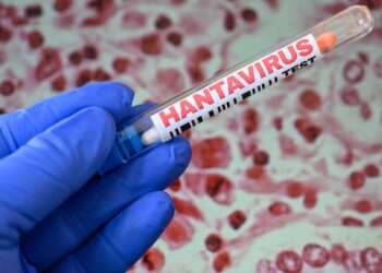 Hantavirus outbreak: Little probability says Kalshi