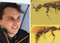 F1 Information 2026: Oscar Piastri wasp title rationalization Gwesped piastrii