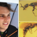 F1 Information 2026: Oscar Piastri wasp title rationalization Gwesped piastrii