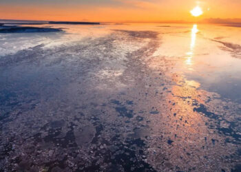 No sundown till August: Inside Alaska’s northernmost city dwelling via 84 days of limitless daylight | World Information