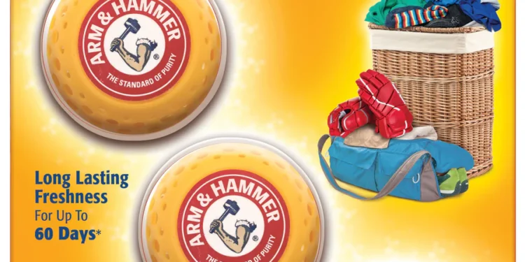 Arm & Hammer OdorBusterz® Odor Eliminator Balls Evaluation: A Easy Answer That Really Works