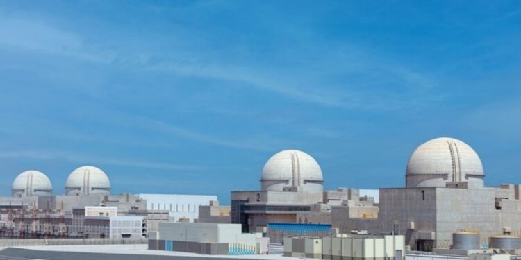 UAE stories drone strike on nuclear energy plant — RT World Information