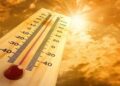 Noida suspends college workshops, sports activities camps amid heatwave in Delhi NCR