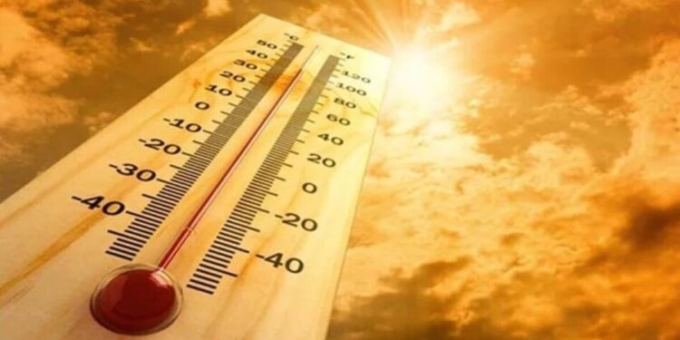 Noida suspends college workshops, sports activities camps amid heatwave in Delhi NCR