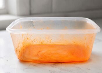 Methods to Take away Tomato Sauce Stains from Plastic Containers