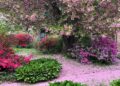 11 Readers Share Their Stunning Gardens