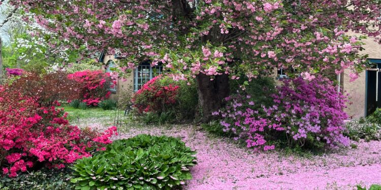 11 Readers Share Their Stunning Gardens