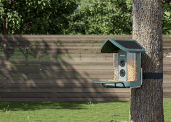 Kiwibit’s AI-powered chook feeder is my new yard buddy