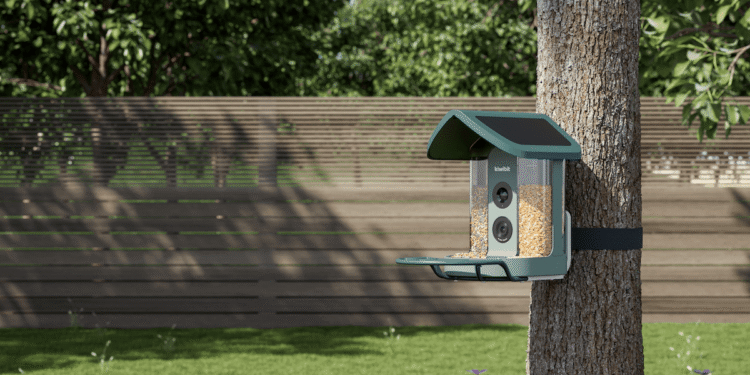 Kiwibit’s AI-powered chook feeder is my new yard buddy