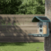 Kiwibit’s AI-powered chook feeder is my new yard buddy