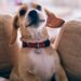 7 Inspiring Reader Feedback on Life Adjustments
