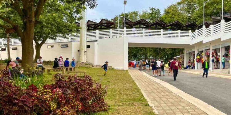 2026 TAGAYTAY PICNIC GROVE Journey Information • Opening Hours, Entrance Charge & Extra!