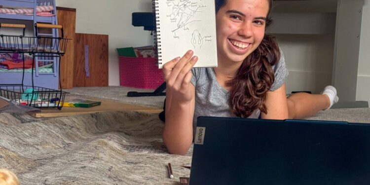 ninth Grade Homeschool Excessive College Planning