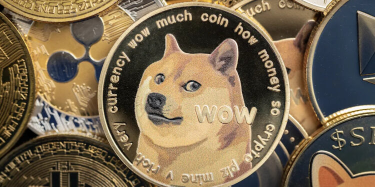 What are altcoins? An entire information.