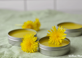 The right way to Make Dandelion Salve (For Sore Muscle tissue and Wholesome Pores and skin)