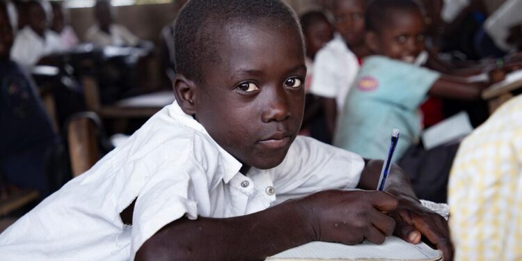 As conflict displaces thousands and thousands in DR Congo, new faculties provide youngsters hope past violence — International Points