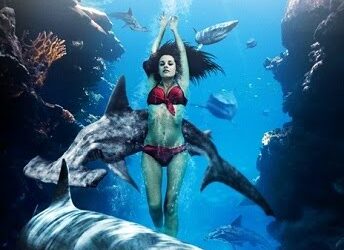 SHARK WEEK The Asylum – free on-line