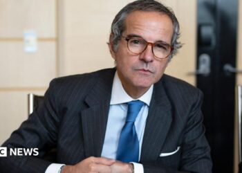 UN nuclear chief says inspectors will go to Iran websites as a part of battle deal