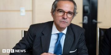 UN nuclear chief says inspectors will go to Iran websites as a part of battle deal