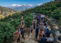 From cosmic to beauty: Why communist China is obsessive about Hindu sacred Rudraksha