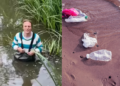 Jail for good work? UK lawyer sentenced to 2 years for cleansing river