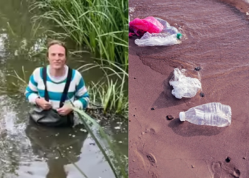 Jail for good work? UK lawyer sentenced to 2 years for cleansing river