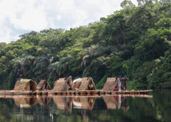 What a Congo River Expedition Seems Like When You are Truly on It