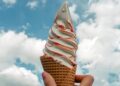 A Very Low-Key Summer time Guidelines