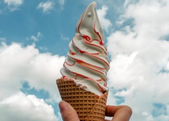 A Very Low-Key Summer time Guidelines