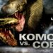 KOMODO VS. COBRA Free on Fawesome, Plex, Roku and YouTube