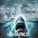 SHARKS IN PRAGUE Overview and free on YouTube