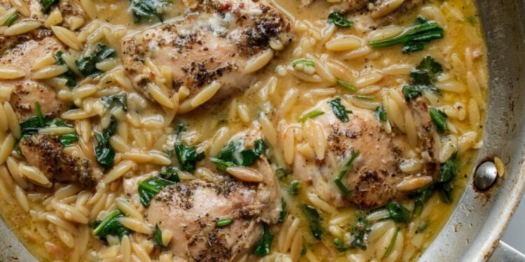 Skillet Lemon Garlic Hen and Orzo